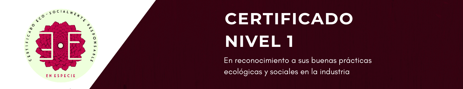 certificado-nivel-1
